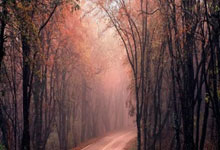 吉隆坡外围伴游网