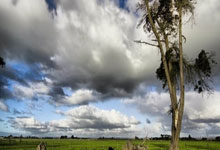 纽约小姐上门按摩