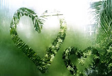 迪拜外围模特预约